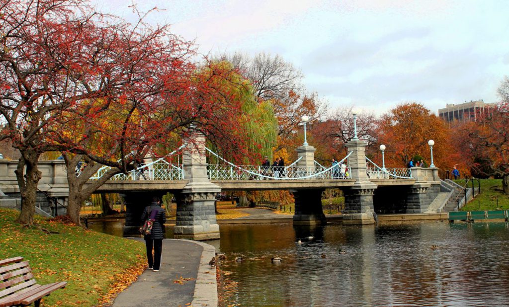 Boston Public Garden