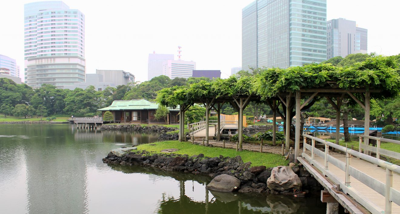 Best Parks and Gardens in Tokyo, Japan | Footsteps of a Dreamer