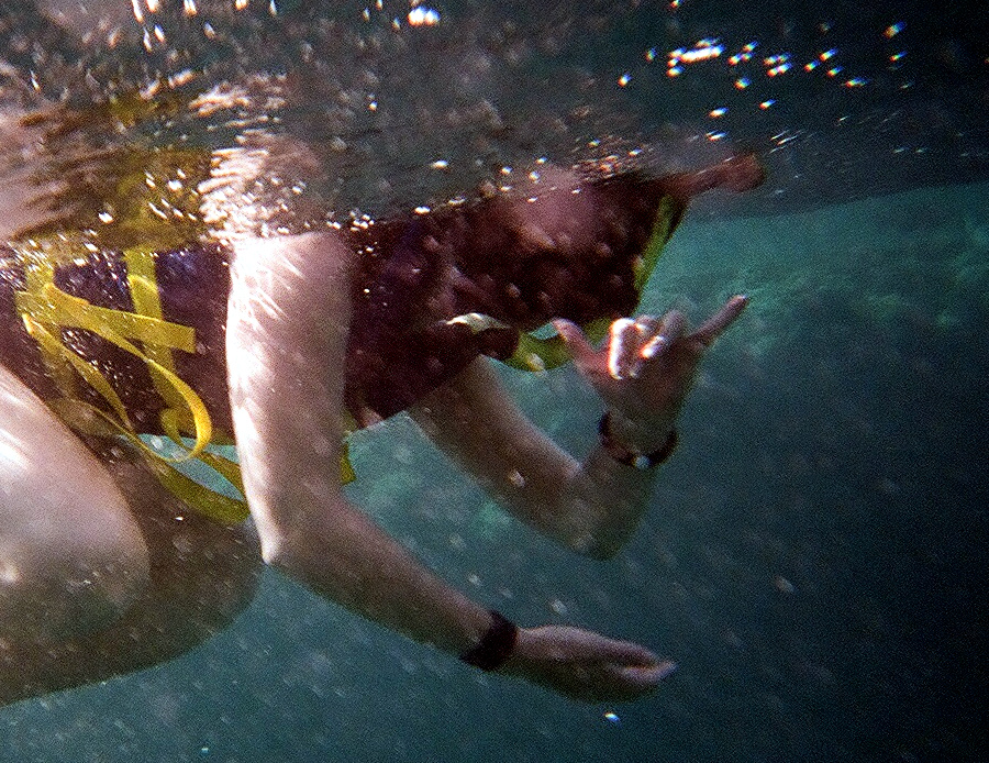 Snorkeling at&nbsp;Nualolo Napali Coast Boat Tour | Footsteps of a Dreamer