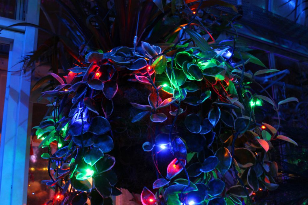 Christmas Lights at Stan Hywet in Akron, Ohio, USA | Footsteps of a Dreamer