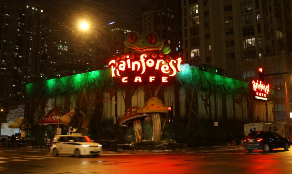 Rainforest Cafe Chicago | Footsteps of a Dreamer
