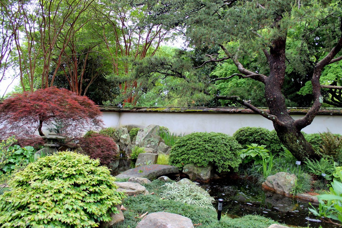 Atlanta Botanical Garden Japanese Garden