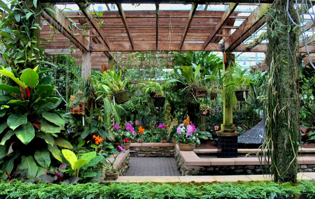 Fuqua Orchid Center