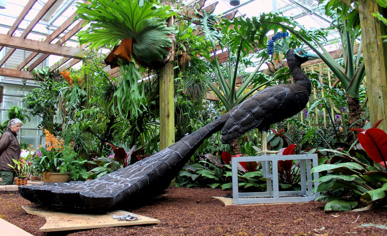 Plant Giants