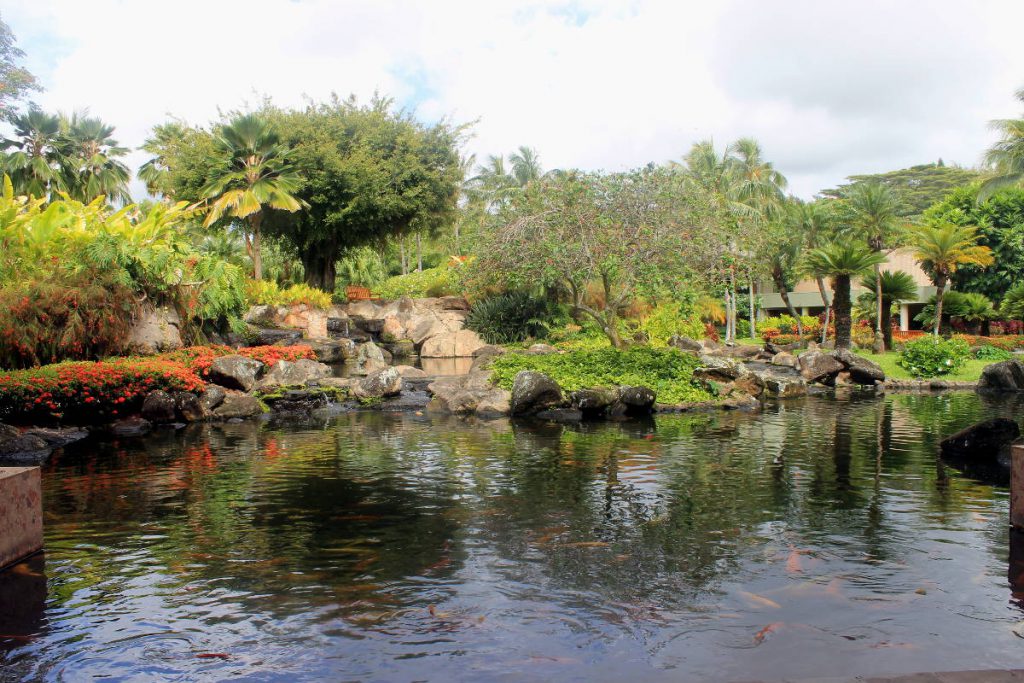 Kauai Marriott Resort | Footsteps of a Dreamer