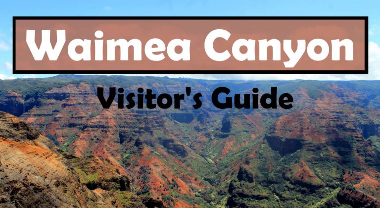 Visiting the Waimea Canyon Lookout - Visit Waimea Canyon Horizontal 768x420