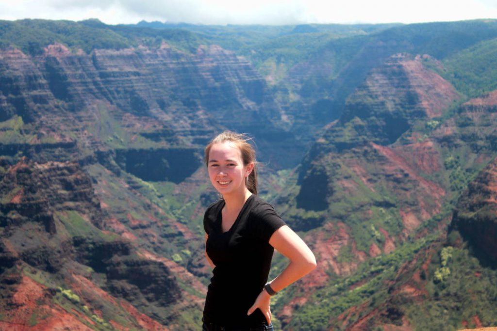 Waimea Canyon Background | Footsteps of a Dreamer