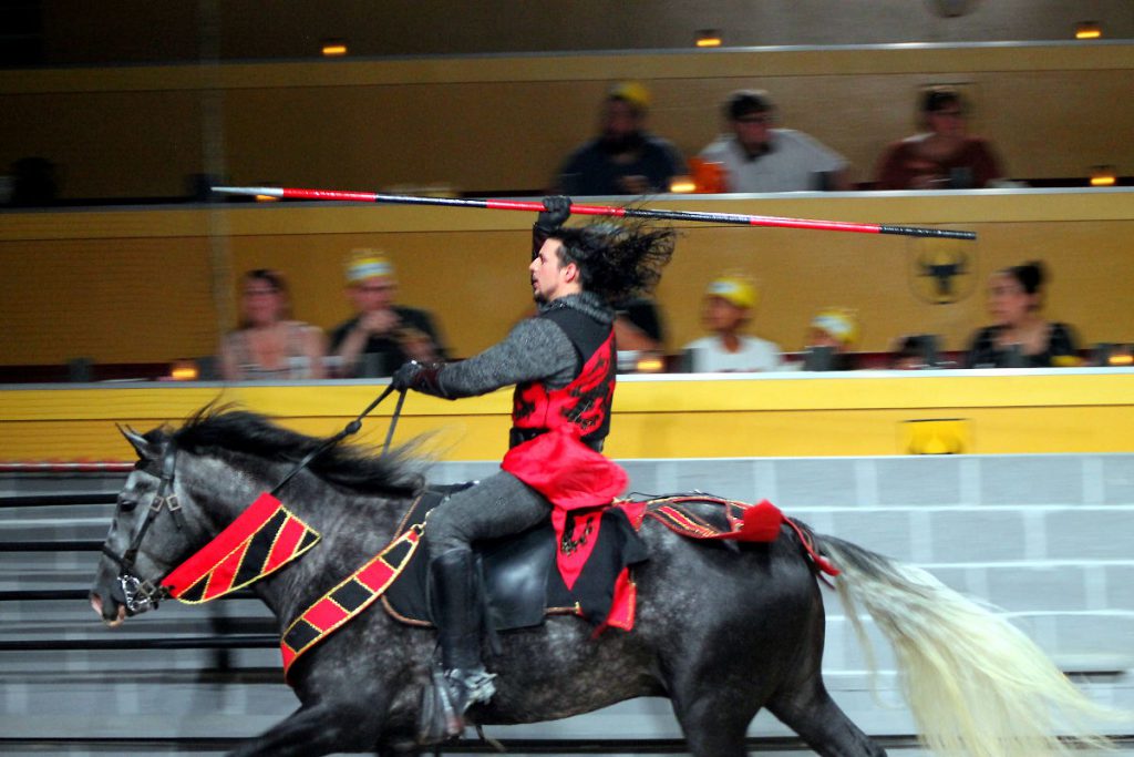 Medieval Times Orlando Florida | Footsteps of a Dreamer