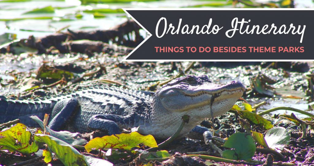 Orlando Itinerary Things to Do Besides Theme Parks | Footsteps of a Dreamer