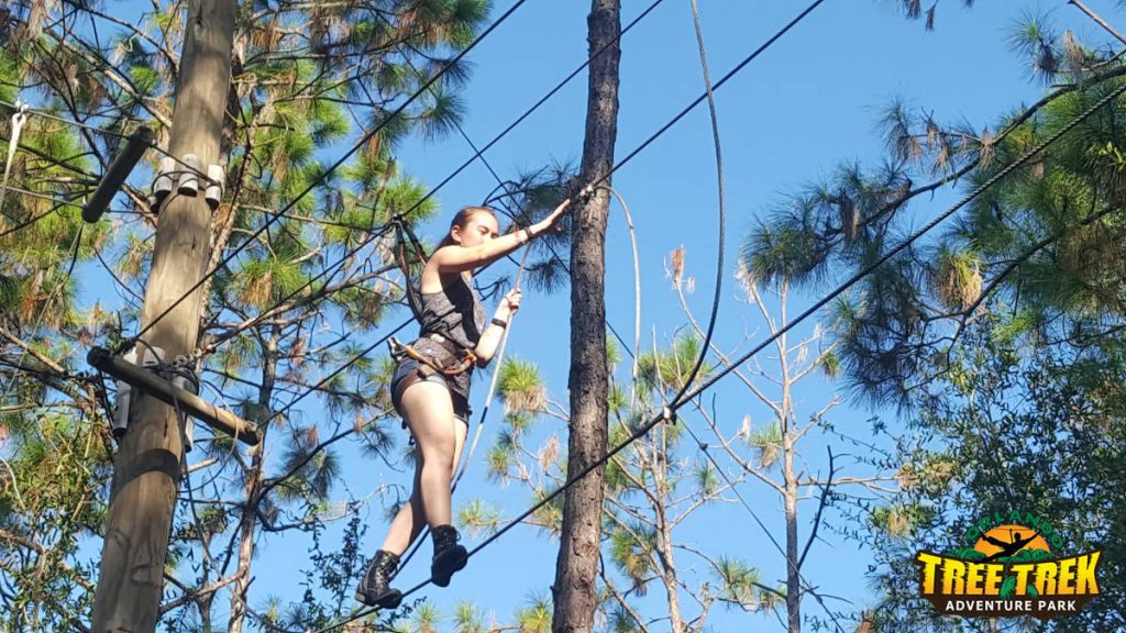 Orlando Tree Trek High Wire Obstacle | Footsteps of a Dreamer