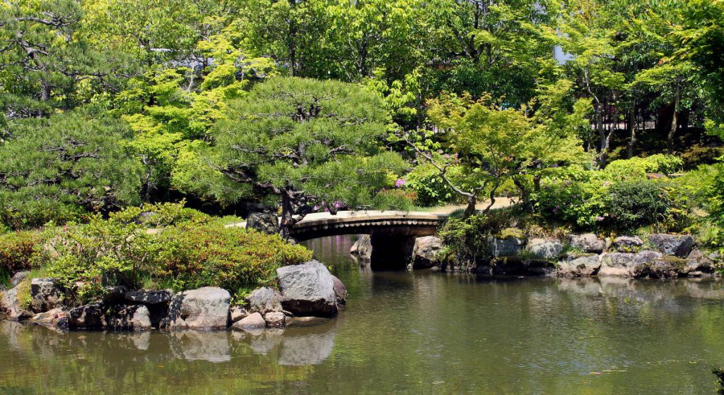 Day Trip to Nara: Itinerary + Travel Tips | Footsteps of a Dreamer