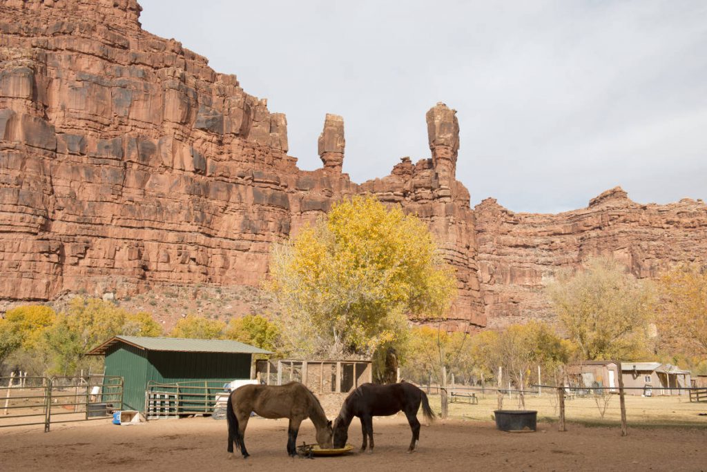 Supai Village | Footsteps of a Dreamer | Adobe Stock Photo