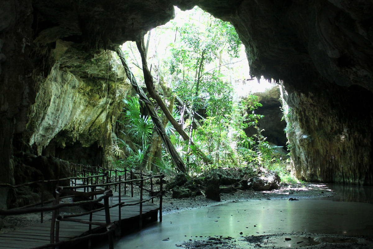 Ocean Tours Mexico Review: Tulum Ruins, Snorkeling, plus Cenote ...