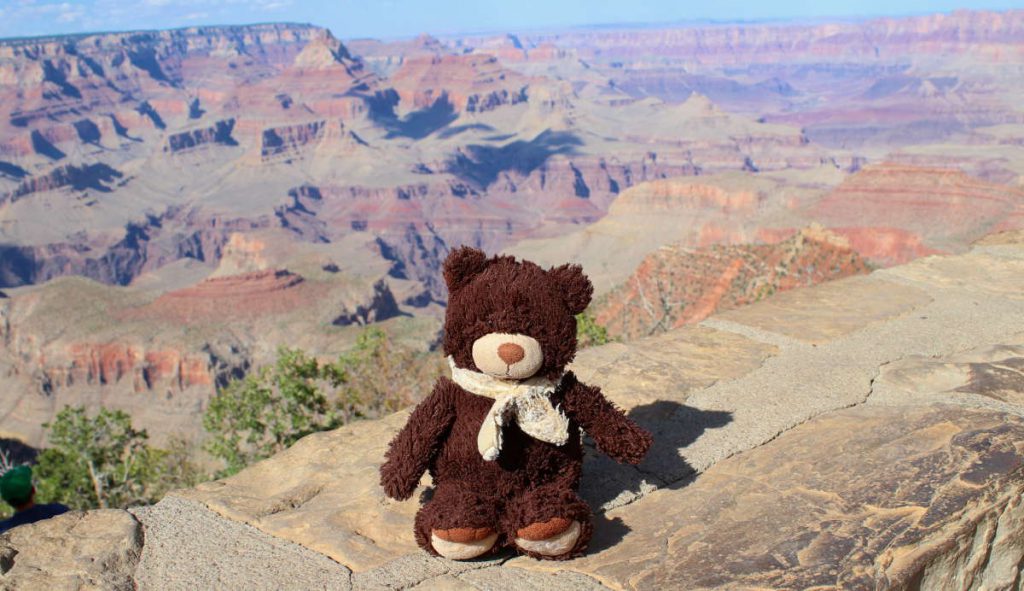 PFC Teddy Bear at Moran Point, Desert View Drive, Grand Canyon, AZ | Footsteps of a Dreamer