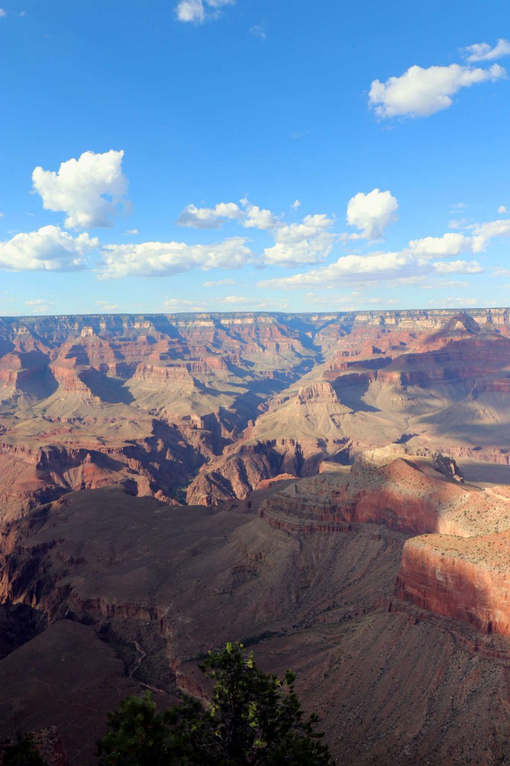 Desert View Drive At The Grand Canyon Footsteps Of A Dreamer   50 Mather Point Compressed 1024x1536 