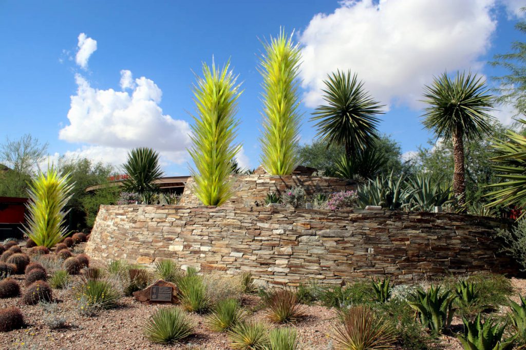 Desert Botanical Garden