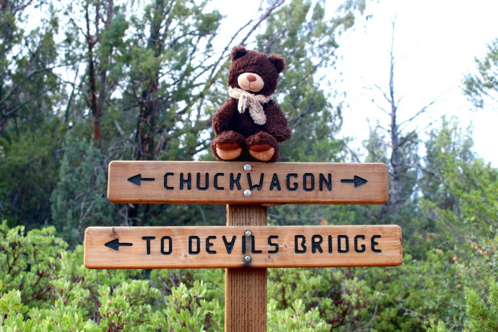 Devil's Bridge Trail